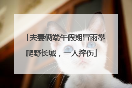 夫妻俩端午假期冒雨攀爬野长城，一人摔伤
