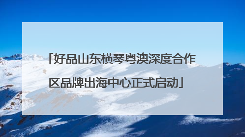 好品山东横琴粤澳深度合作区品牌出海中心正式启动