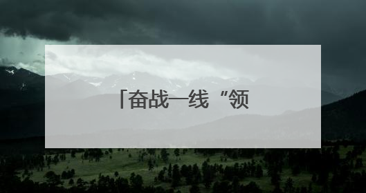 奋战一线“领头雁” 躬身实干“老黄牛”