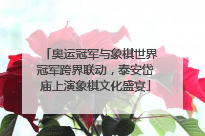 奥运冠军与象棋世界冠军跨界联动，泰安岱庙上演象棋文化盛宴