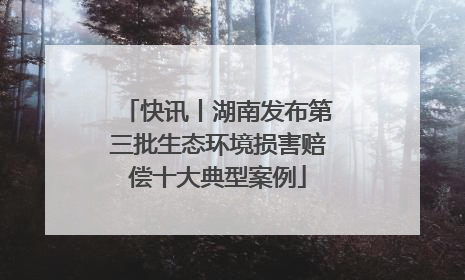 快讯丨湖南发布第三批生态环境损害赔偿十大典型案例