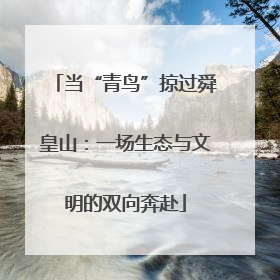 当“青鸟”掠过舜皇山：一场生态与文明的双向奔赴