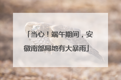 当心！端午期间，安徽南部局地有大暴雨