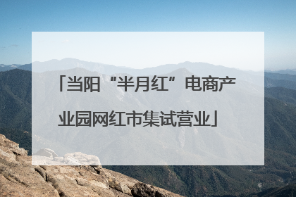 当阳“半月红”电商产业园网红市集试营业