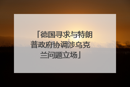 德国寻求与特朗普政府协调涉乌克兰问题立场