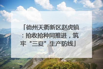 德州天衢新区赵虎镇：抢收抢种同推进，筑牢“三夏”生产防线