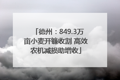 德州：849.3万亩小麦开镰收割 高效农机减损助增收