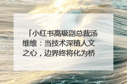 小红书高级副总裁汤维维：当技术深植人文之心，边界终将化为桥梁｜聚焦2025文化强国建设高峰论坛