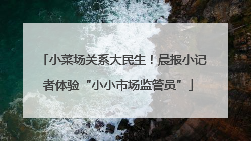 小菜场关系大民生！晨报小记者体验“小小市场监管员”