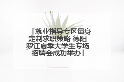 就业指导专区量身定制求职策略 德阳罗江夏季大学生专场招聘会成功举办