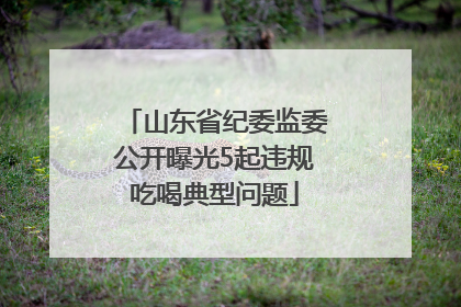 山东省纪委监委公开曝光5起违规吃喝典型问题
