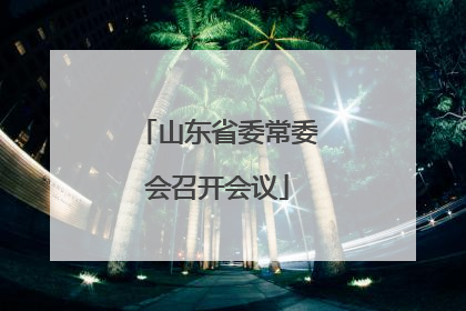 山东省委常委会召开会议