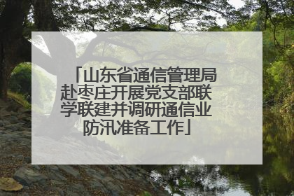 山东省通信管理局赴枣庄开展党支部联学联建并调研通信业防汛准备工作