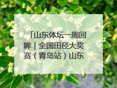 山东体坛一周回眸｜全国田径大奖赛（青岛站）山东队夺7金