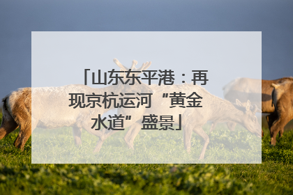 山东东平港：再现京杭运河“黄金水道”盛景