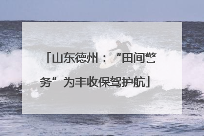 山东德州：“田间警务”为丰收保驾护航