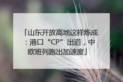 山东开放高地这样炼成：港口“CP”出道，中欧班列跑出加速度