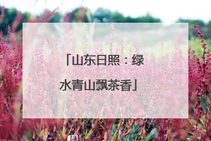 山东日照：绿水青山飘茶香