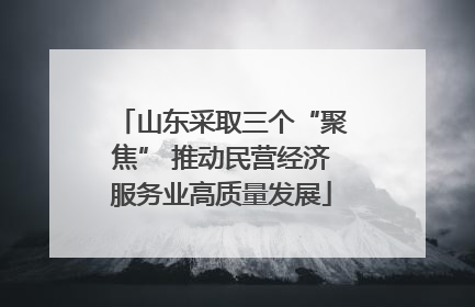 山东采取三个“聚焦” 推动民营经济服务业高质量发展