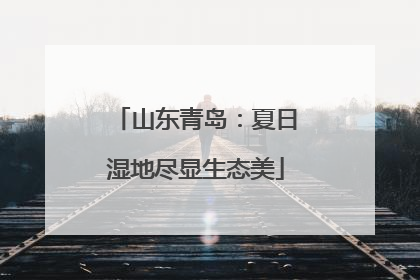 山东青岛：夏日湿地尽显生态美