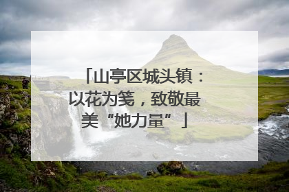 山亭区城头镇：以花为笺，致敬最美“她力量”