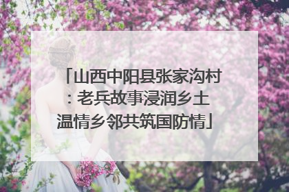 山西中阳县张家沟村：老兵故事浸润乡土 温情乡邻共筑国防情
