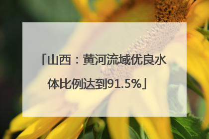 山西：黄河流域优良水体比例达到91.5%