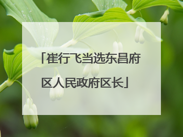 崔行飞当选东昌府区人民政府区长