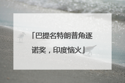 巴提名特朗普角逐诺奖，印度恼火