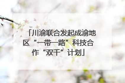 川渝联合发起成渝地区“一带一路”科技合作“双千”计划