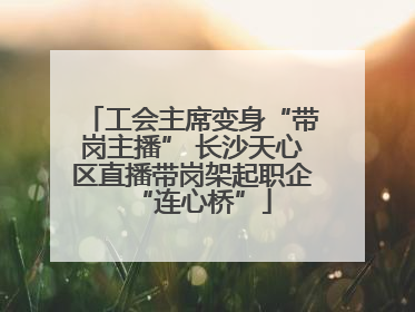 工会主席变身“带岗主播” 长沙天心区直播带岗架起职企“连心桥”