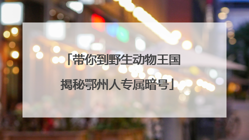 带你到野生动物王国揭秘鄂州人专属暗号