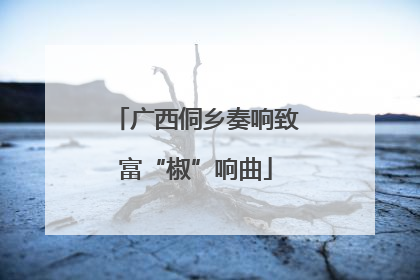 广西侗乡奏响致富“椒”响曲
