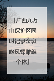 广西九万山保护区同时记录金斑喙凤蝶雌雄个体
