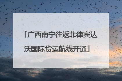 广西南宁往返菲律宾达沃国际货运航线开通
