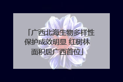 广西北海生物多样性保护成效明显 红树林面积居广西首位