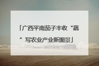 广西平南茄子丰收“蔬”写农业产业新图景