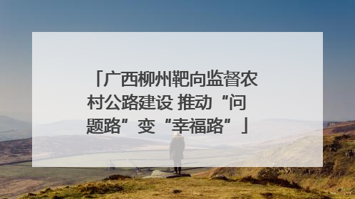 广西柳州靶向监督农村公路建设 推动“问题路”变“幸福路”