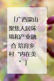 广西蒙山聚焦人居环境和产业融合 培育乡村“内在美”