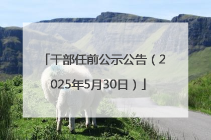 干部任前公示公告（2025年5月30日）