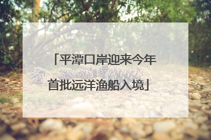 平潭口岸迎来今年首批远洋渔船入境