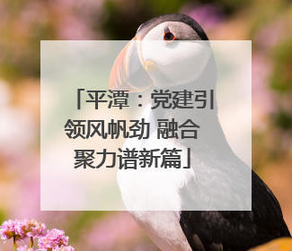 平潭：党建引领风帆劲 融合聚力谱新篇