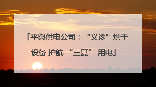 平舆供电公司：“义诊”烘干设备 护航 “三夏” 用电