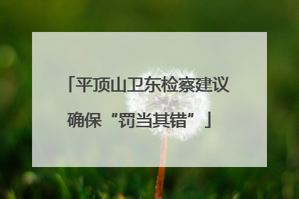 平顶山卫东检察建议确保“罚当其错”