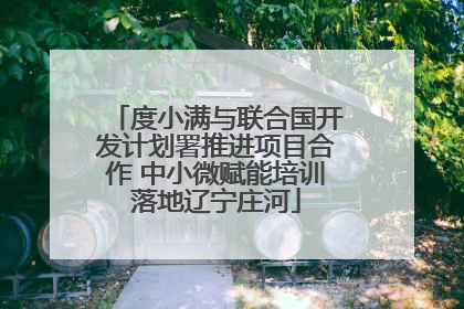 度小满与联合国开发计划署推进项目合作 中小微赋能培训落地辽宁庄河