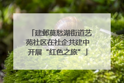建邺莫愁湖街道艺苑社区在社企共建中开展“红色之旅”