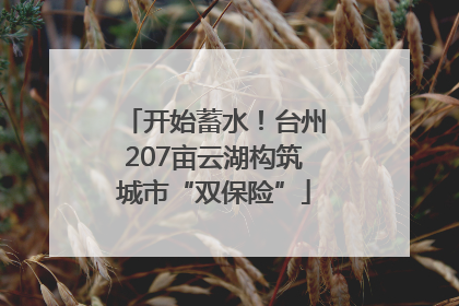 开始蓄水！台州207亩云湖构筑城市“双保险”