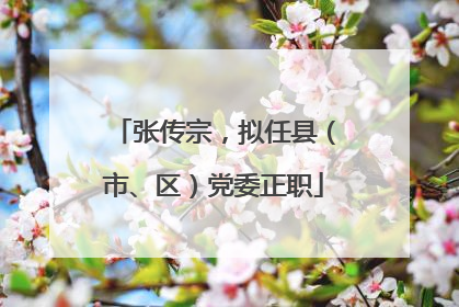张传宗，拟任县（市、区）党委正职