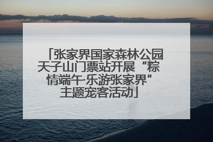张家界国家森林公园天子山门票站开展“粽情端午·乐游张家界”主题宠客活动