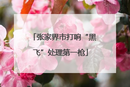 张家界市打响“黑飞”处理第一枪
